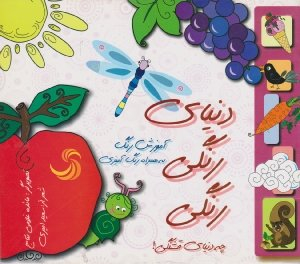 کتاب دنیای رنگی رنگی (آموزش رنگ به همراه رنگ آمیزی) اثر سعید امیری انتشارات تیسا