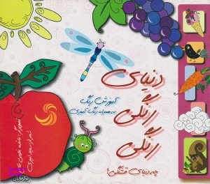 کتاب دنیای رنگی رنگی (آموزش رنگ به همراه رنگ آمیزی) اثر سعید امیری انتشارات تیسا