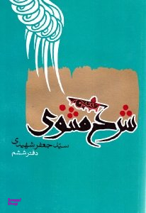 شرح مثنوی - دفتر ششم (8)