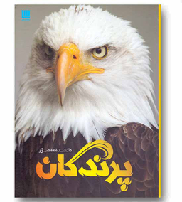 کتاب دانشنامه مصور پرندگان اثر دیوید برنی انتشارات سایان