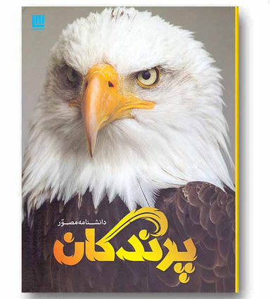 کتاب دانشنامه مصور پرندگان اثر دیوید برنی انتشارات سایان