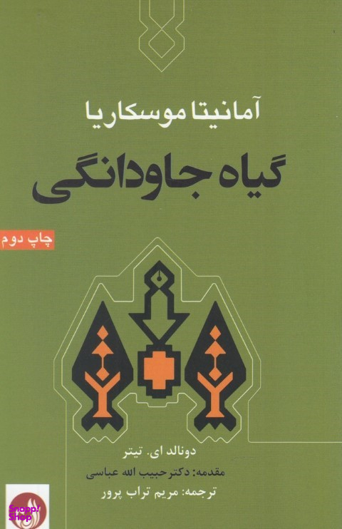 گیاه جاودانگی