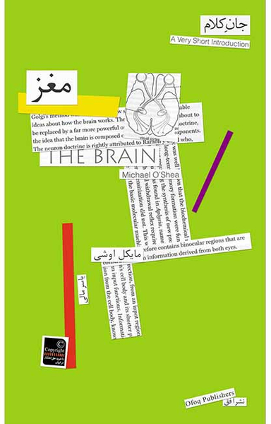 جان کلام 2(مغز)