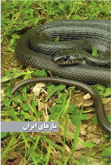 مارهای ایران