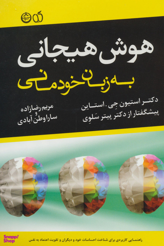 هوش هیجانی به زبان خودمانی