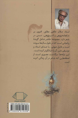 آهوی کوهی در دشت