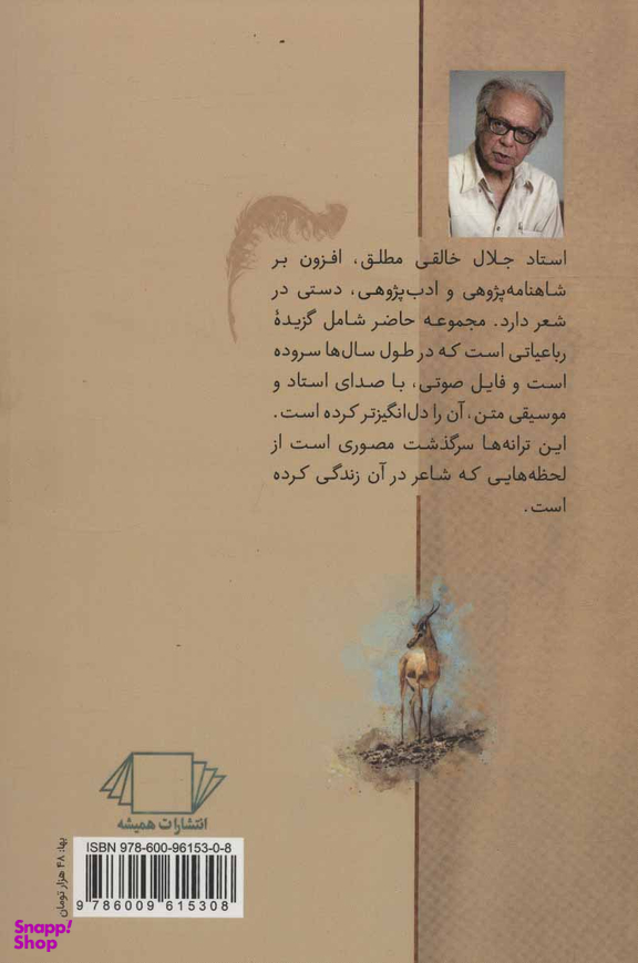 آهوی کوهی در دشت