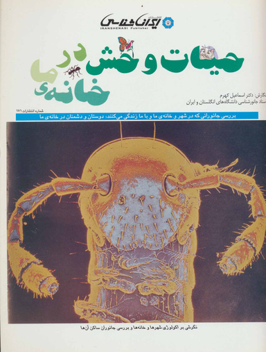 حیات وحش در خانه ما