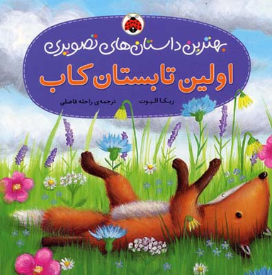 کتاب بهترین داستان های تصویری (اولین تابستان کاب) اثر ربکا الیوت انتشارات شهر قلم
