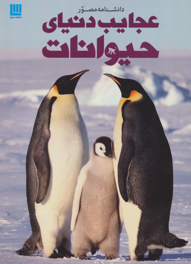 کتاب دانشنامه مصور عجایب دنیای حیوانات اثر تام جکسنن انتشارات سایان