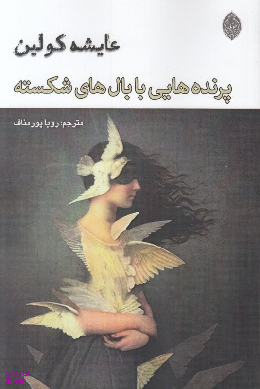 پرنده هایی با بال ها شکسته