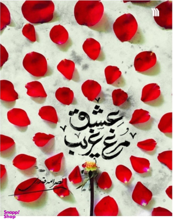 کتاب مرغ غریب عشق اثر نصرالله قادری انتشارات سروش