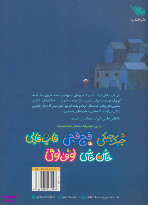 آقا خاش خاشی (ماجراهای مردم شهر عجیب)