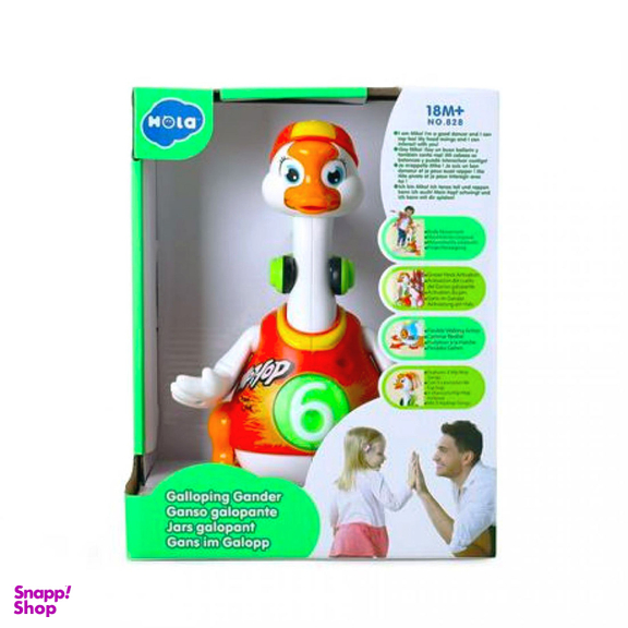 غاز هولا (Hola) کد 828