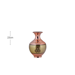 گلدان بلونی 25 خاتم ممتاز آقاجانی (Aghajani)