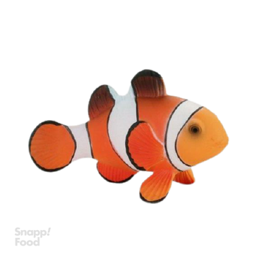 فیگور دلقک ماهی موجو (Mojo) مدل سی لند