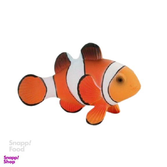 فیگور دلقک ماهی موجو (Mojo) مدل سی لند