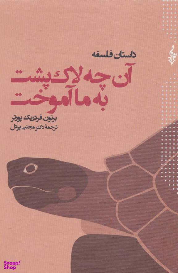 آن چه لاک پشت به ما آموخت