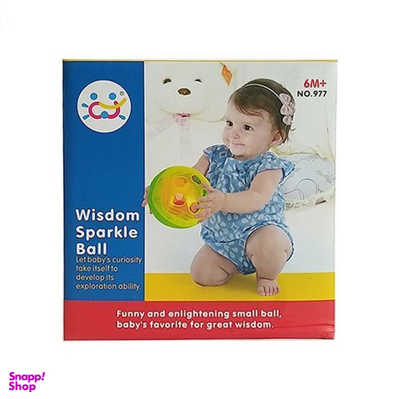 توپ نورانی و موزیکال هالی تویز (Huile toys) کد 977