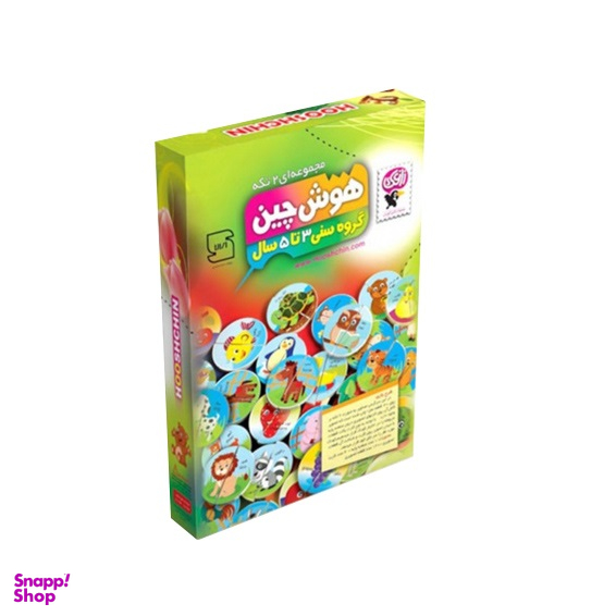 بازی هوش چین مجموعه ای 2 تکه وزن 550 گرم