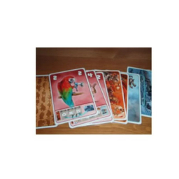 بازی فکری بازی نوین مدل کافه وحش BEASTY BAR