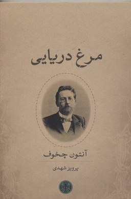 مرغ دریایی