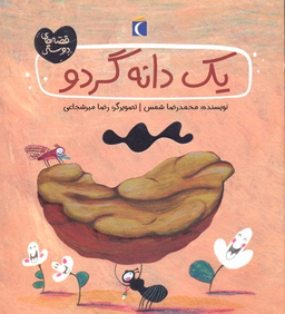 کتاب یک دانه گردو اثر محمدرضا شمس نشر مهتاب