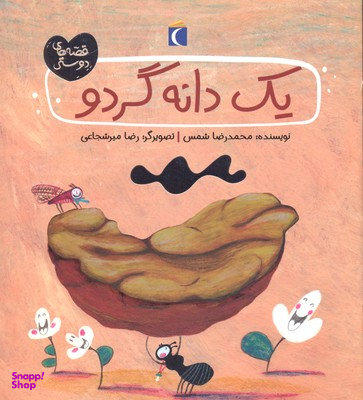 کتاب یک دانه گردو اثر محمدرضا شمس نشر مهتاب