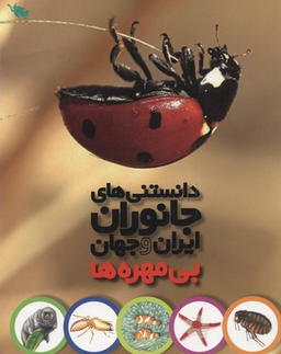 کتاب بی مهره ها اثر محمد کرام الدینی انتشارات نشر طلایی