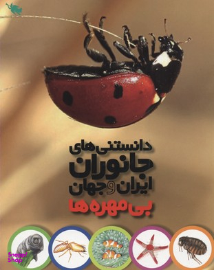 کتاب بی مهره ها اثر محمد کرام الدینی انتشارات نشر طلایی