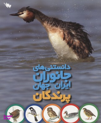 کتاب پرندگان اثر محمد کرام الدینی انتشارات نشر طلایی