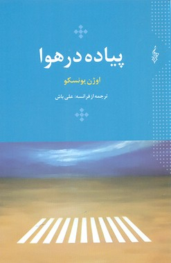 پیاده در هوا