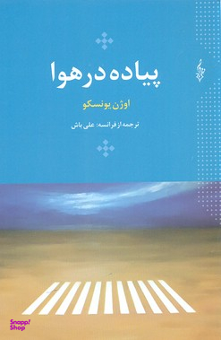 پیاده در هوا