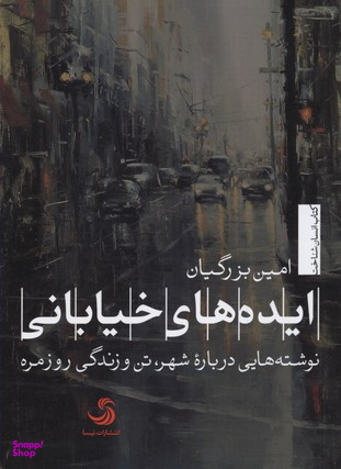 ایده های خیابانینوشته هایی درباره شهر،تن و (انسان شناخت 29)