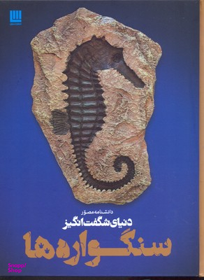 کتاب دانشنامه مصور دنیای شگفت انگیز سنگواره ها اثر پال دی تیلر انتشارات سایان