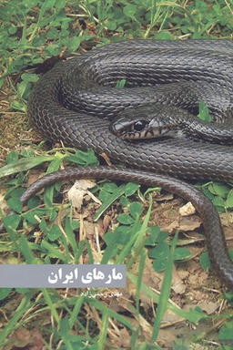 مارهای ایران