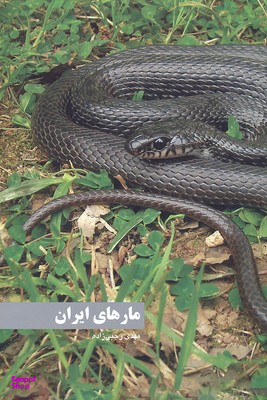 مارهای ایران
