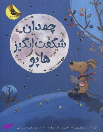 کتاب چمدان شگفت انگیز هاپو اثر تریسی کوردروی انتشارات زعفران