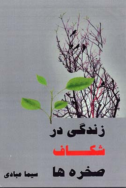زندگی در شکاف صخره ها