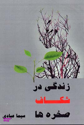 زندگی در شکاف صخره ها
