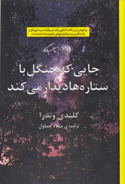 جایی که جنگل با ستاره ها دیدار می کند