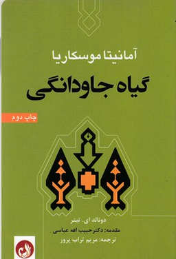 گیاه جاودانگی