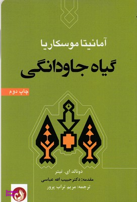 گیاه جاودانگی