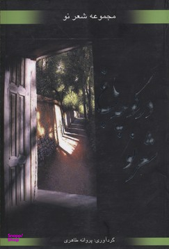 در کوچه باغ شعر نو