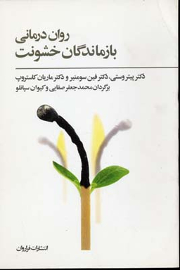 روان درمانی بازماندگان خشونت