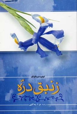 زنبق دره