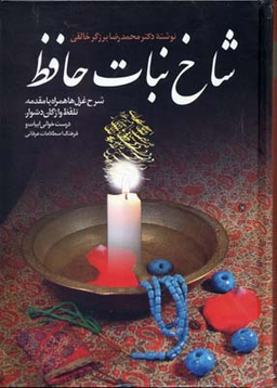 کتاب شاخ نبات حافظ اثر محمدرضا برزگر خالقی انتشارات زوار