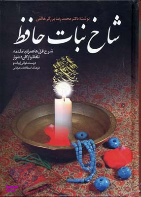 کتاب شاخ نبات حافظ اثر محمدرضا برزگر خالقی انتشارات زوار