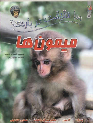 100 حقیقت شماره 22 (درباره ی میمون ها)
