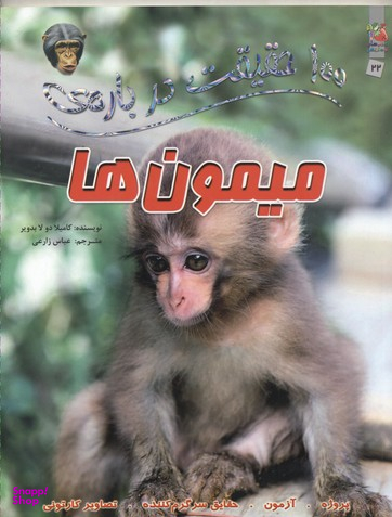 100 حقیقت شماره 22 (درباره ی میمون ها)